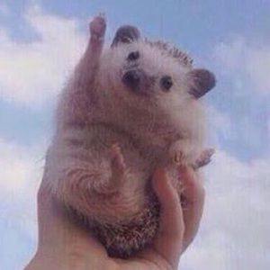 Meet your Posher, Olivia